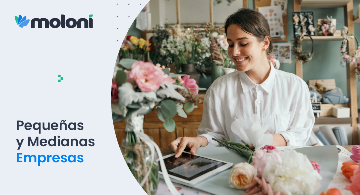 Pequeñas y Medianas Empresas